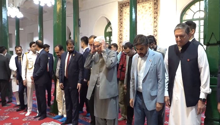 —سوشل میڈیا ویڈیو گریب