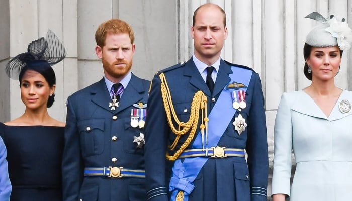 Meghan Markle stern warning to Prince Harry about Princess Kate revealed