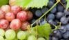 انگور بڑھاپے کی رفتار سست کرنے میں مددگار