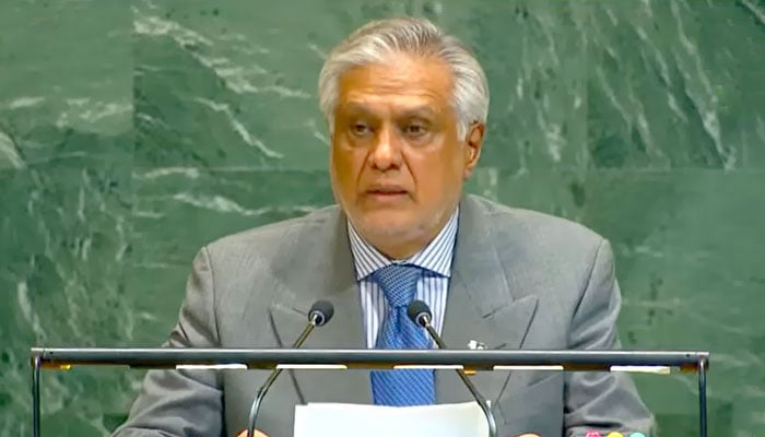 نائب وزیراعظم اور وزیر خارجہ سینیٹر اسحاق ڈار۔فوٹو: اسکرین گریب