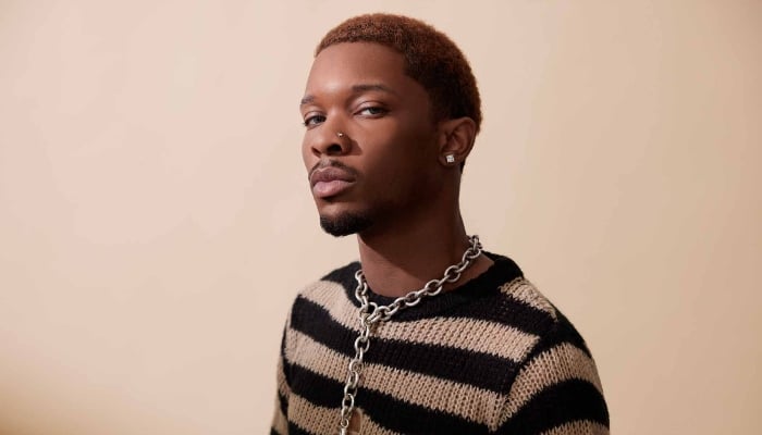 D4vds music career rocked by teens death investigation: From US to Australia