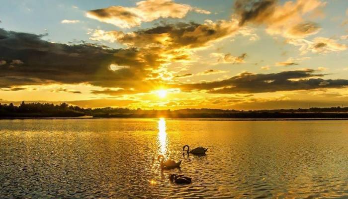 Fall 2025 officially begins as autumnal equinox marks seasonal shift