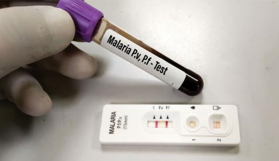 کراچی: رواں سال ملیریا کے 2 ہزار 242 کیسز رپورٹ، محکمہ صحت