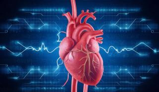  دل کی بیماری کی قبل از وقت تشخیص کے لیے مصنوعی ذہانت کا استعمال