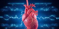  دل کی بیماری کی قبل از وقت تشخیص کے لیے مصنوعی ذہانت کا استعمال