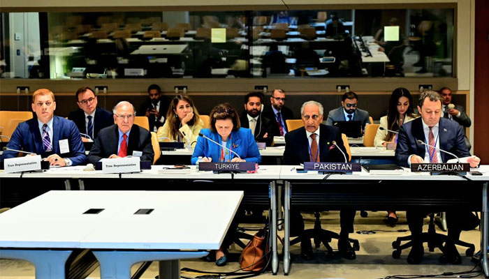 مسئلہ کشمیر حل ہوئے بغیر خطے میں امن ممکن نہیں: او آئی سی رابطہ گروپ