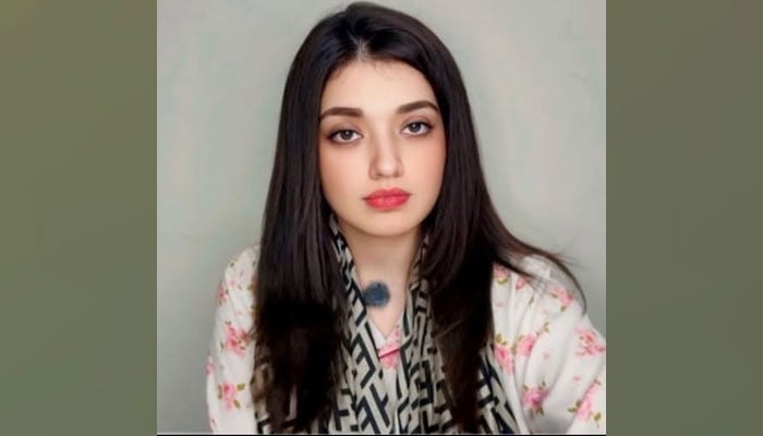 فلک جاوید—فائل فوٹو