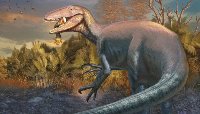 New dinosaur species discovered in Argentina with crocodile bone in mouth