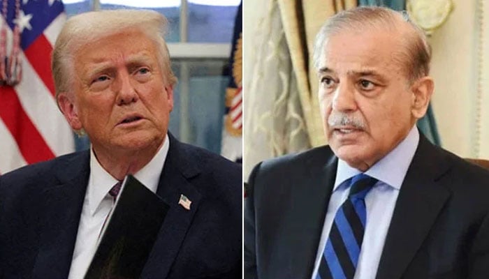شہباز شریف اور ٹرمپ کی آج ملاقات کا امکان، عالمی و علاقائی امور پر گفتگو متوقع
