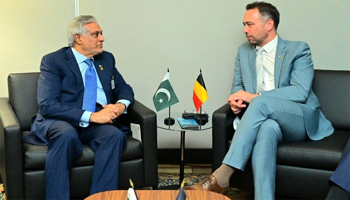 اسحاق ڈار ​کی نیو یارک میں بیلجیئن ہم منصب سے ملاقات، دوطرفہ امور پر گفتگو