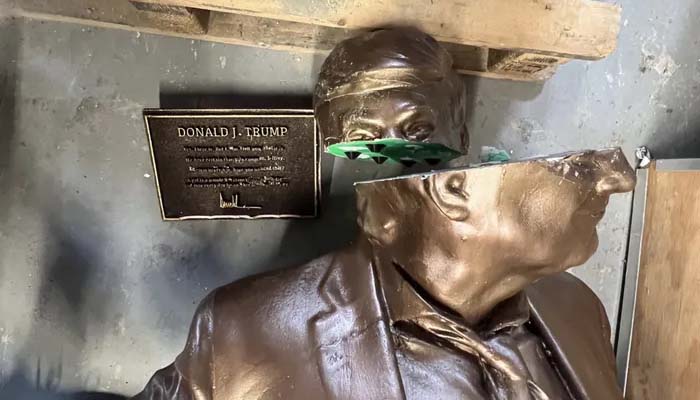 Trump-Epstein statue removed from National Mall due to permit issues