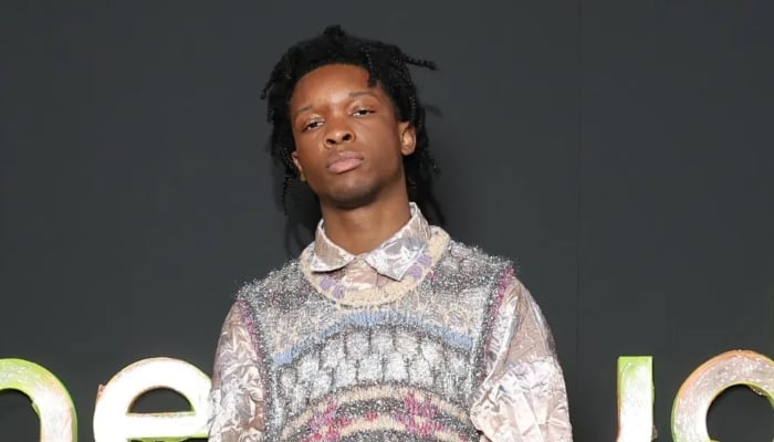 D4vds career takes another hit amid rumours of deceased teen at his concert