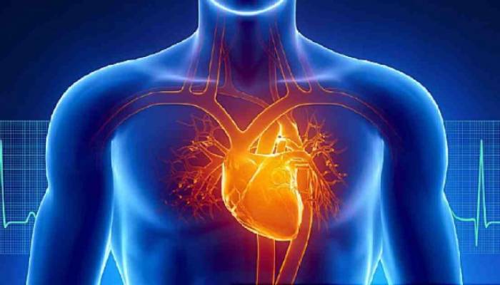 Cardiac disorder remains leading cause of death worldwide, study