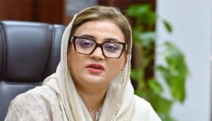 عظمیٰ بخاری کا شرجیل میمن کی پریس کانفرنس پر ردعمل