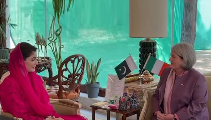 —سوشل میڈیا ویڈیو گریب