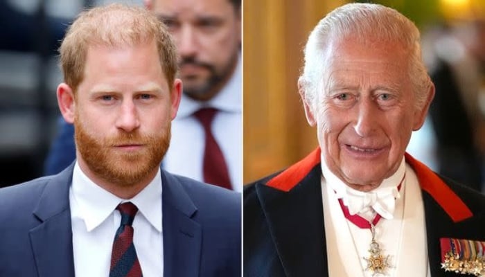 Palace responds after Prince Harry slams King Charles reunion details