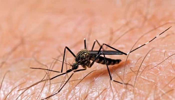 West Nile Virus: 2 more cases confirmed in Massachusetts