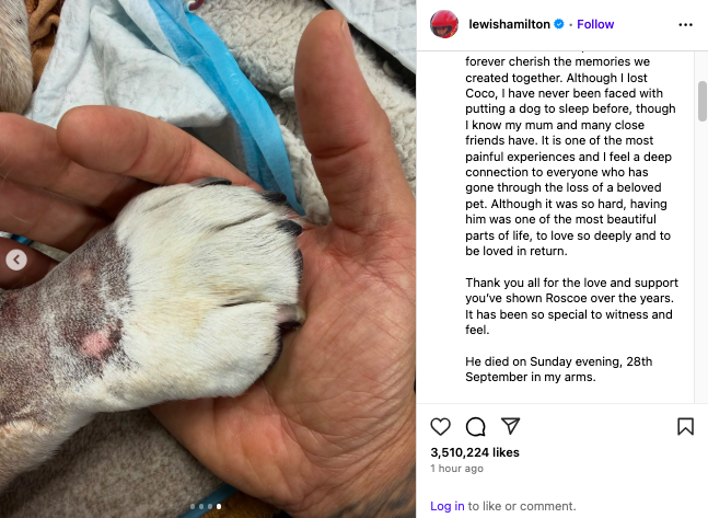 Lewis Hamilton mourns loss of his dog Roscoe in emotional tribute