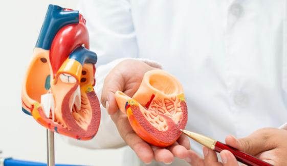 ’ڈپریشن کے شکار نوجوانوں میں دل کی بیماری کا خدشہ 40 سے 60 فیصد بڑھ جاتا ہے‘