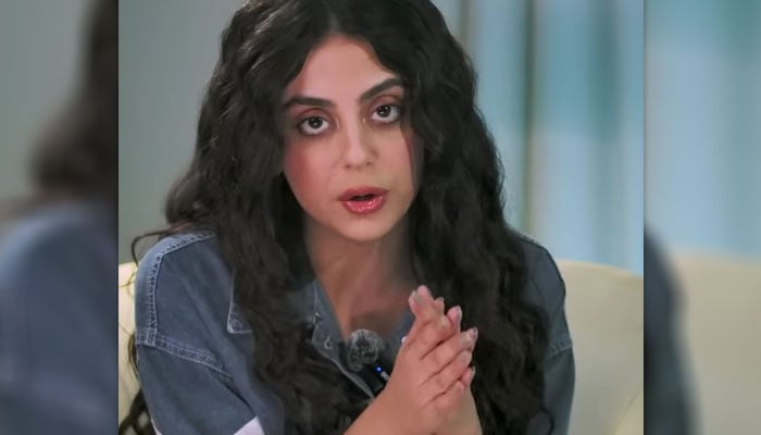 فوٹو — اسکرین گریب