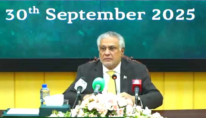 فوٹو: اسکرین گریب