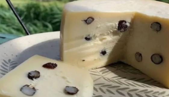 کیا آپ چیونٹیاں ملی چیز کھانا پسند کریں گے؟