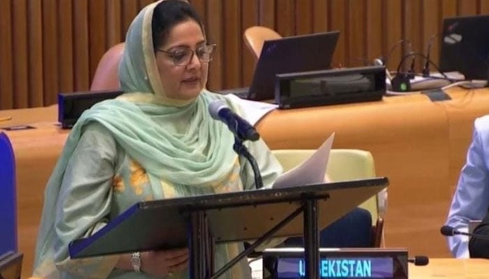 مصنوعی ذہانت کیلئے جامع عالمی فریم ورک کی تشکیل ناگزیر ہوگئی، انوشہ رحمان