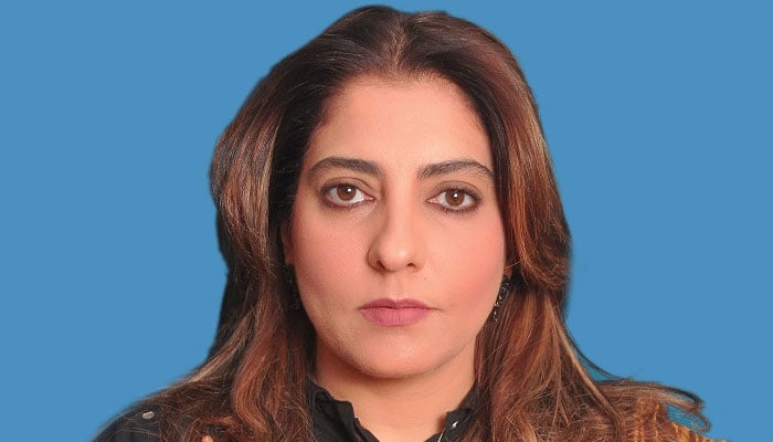 حکومت کا قانون سازی میں ساتھ نہیں دیں گے، سینیٹر پلوشہ خان