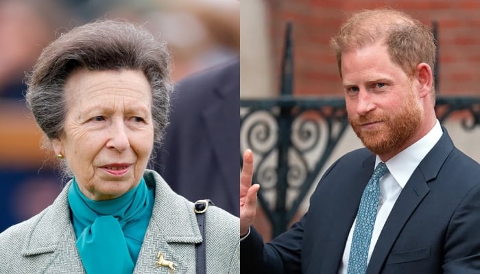 Princess Anne surprises Ukraine with heartfelt tribute after Prince Harry’s visit