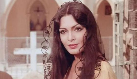 پروین بابی کی بائیوپک سیریز کیلئے کس اداکارہ کو منتخب کر لیا گیا؟