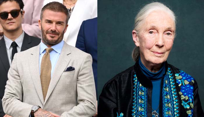 David Beckham pens heartfelt tribute to legendary conservationist Jane Goodall