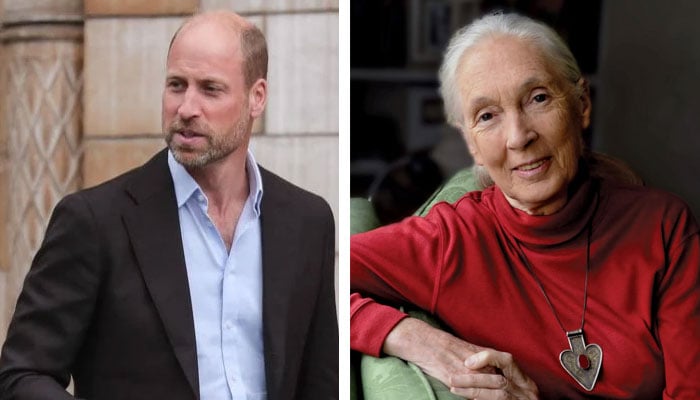 Prince William mourns extraordinary voice Dame Jane’s death in sombre tribute