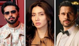 کیا تابش ہاشمی اب بڑے پردے پر نظر آئیں گے؟