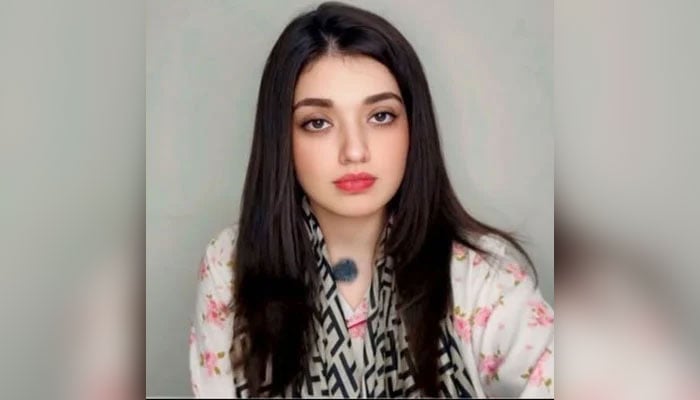 فلک جاوید—فائل فوٹو