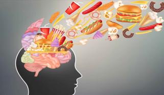 برگر، پیزا کے شوقین خبردار! چند دن کا استعمال دماغ کو نقصان پہنچا سکتا ہے