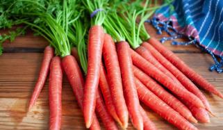 گاجر کے استعمال کے حیرت انگیز فوائد