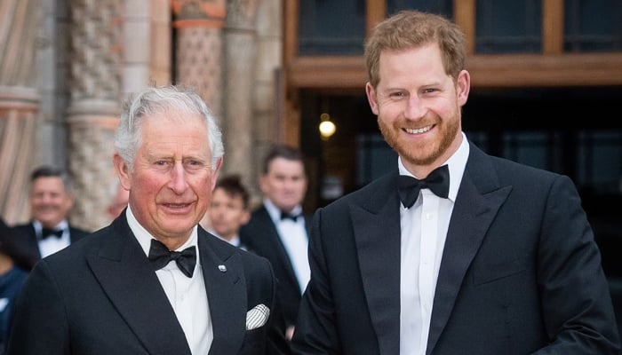 Prince Harrys legal fight continues despite tearful reunion with King Charles