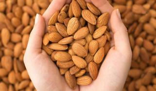 روزانہ بادام کھانے کے حیرت انگیز فوائد، جسم پر کیا اثرات مرتب ہوتے ہیں؟