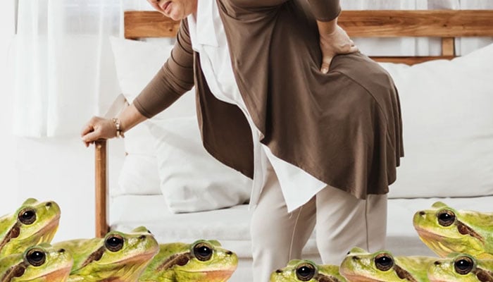 — فائل فوٹو