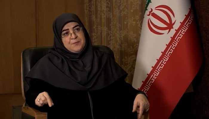 ترجمان ایرانی حکومت فاطمہ مہاجرانی —تصویر بشکریہ غیر ملکی میڈیا