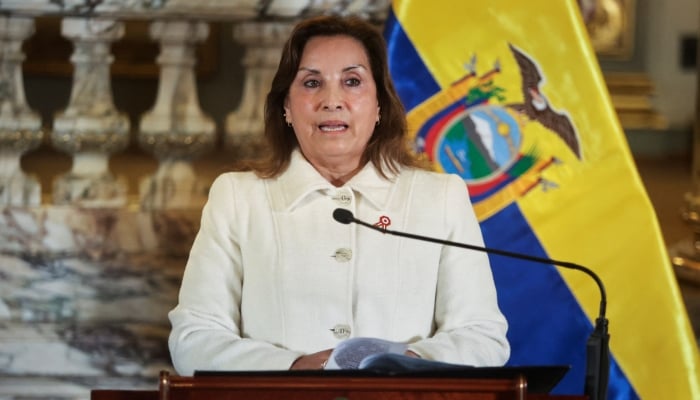Peru lawmakers remove President Dina Boluarte amid worsening crime crisis