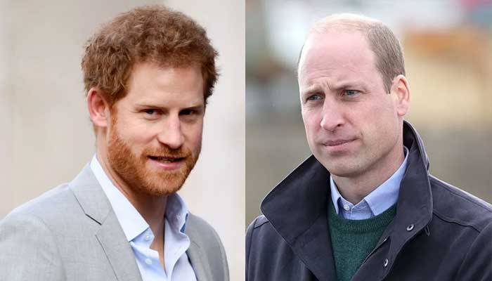 Prince Harry delivers emotional speech after William drops video on suicide