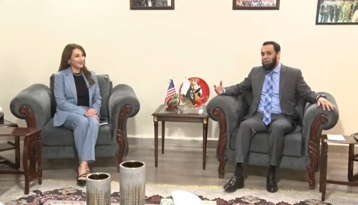 تصویر، اسکرین گریب