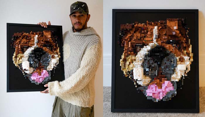 Hamilton gets emotional after receiving lego portrait of late dog Roscoe