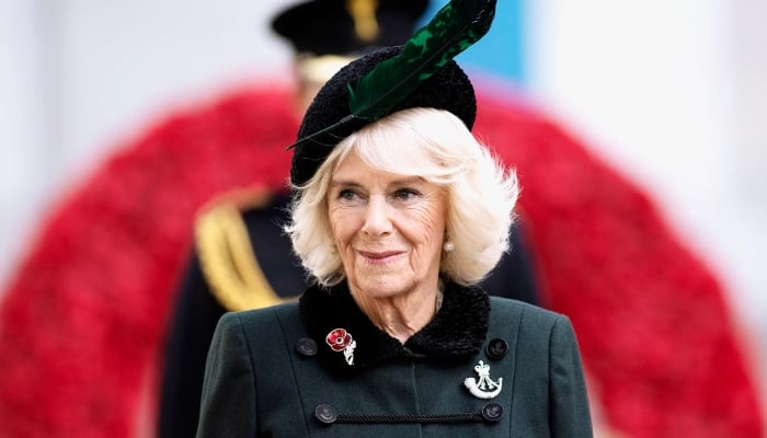 Queen Camilla turns heads with bold style at literary festival