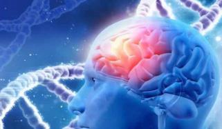 نئی تحقیق میں الزائمر کی ابتدائی علامات سامنے آگئیں