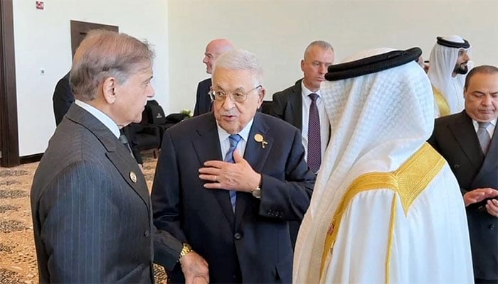 وزیرِاعظم کی شرم الشیخ میں امن سربراہ اجلاس کے موقع پر عالمی رہنماؤں سے ملاقاتیں