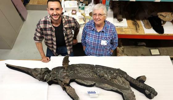 برطانیہ میں جراسک دور کی منفرد سمندری مخلوق دریافت