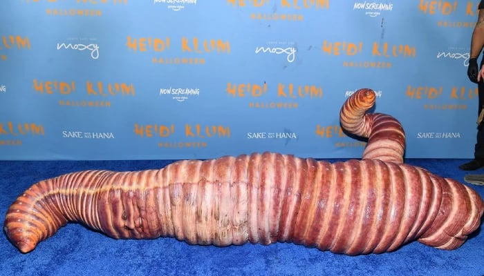 From Heidi Klum to Kim Kardashian: 10 celebrity Halloween looks that went viral