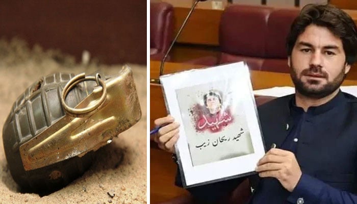 رکنِ قومی اسمبلی مبارک زیب—فائل فوٹو